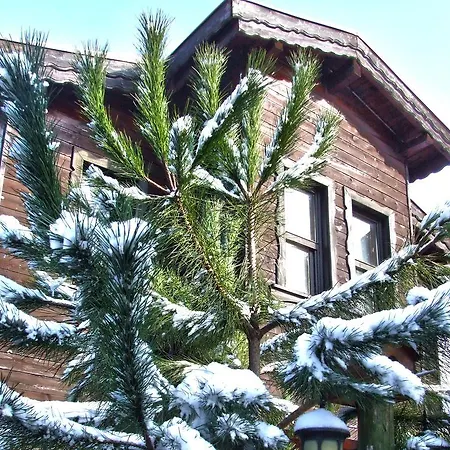 Piccolo (adults Only)