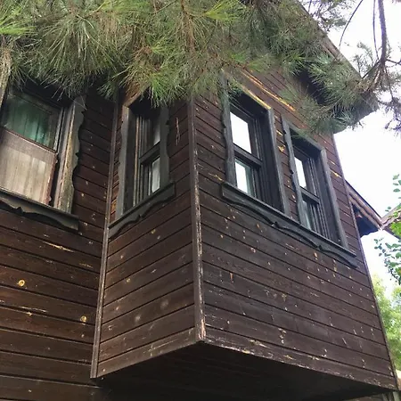 Piccolo (adults Only) * Ağva
