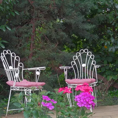 Gæstehus Piccolo (adults Only) Ağva