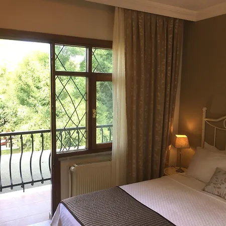 Piccolo (adults Only)