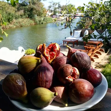 Piccolo (adults Only) Gæstehus *