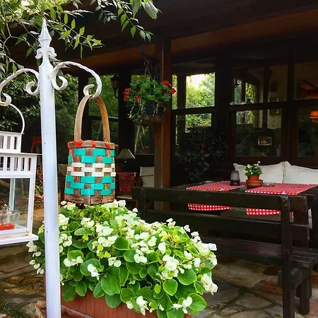 Gæstehus Piccolo (adults Only) Ağva