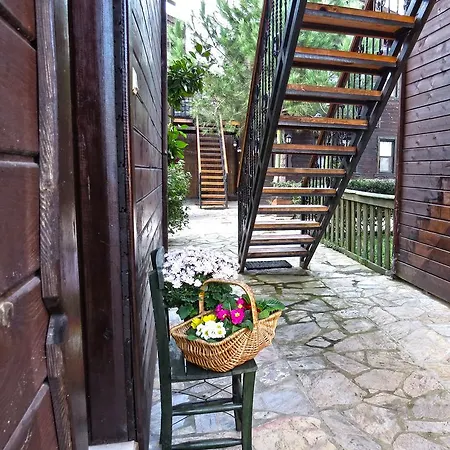 Piccolo (adults Only)