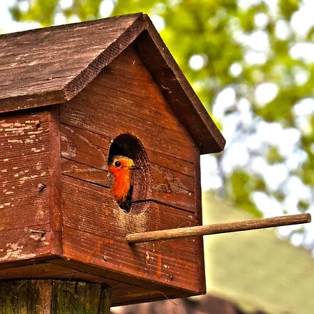 بيت ضيافة Piccolo (adults Only) آغفا