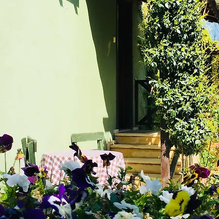 Piccolo (adults Only) بيت ضيافة *