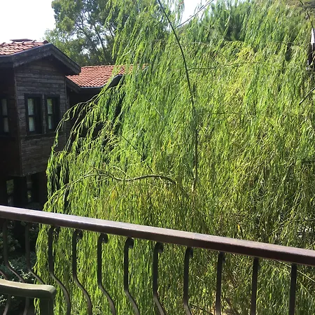 Piccolo (adults Only) آغفا