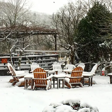 Piccolo (adults Only) آغفا