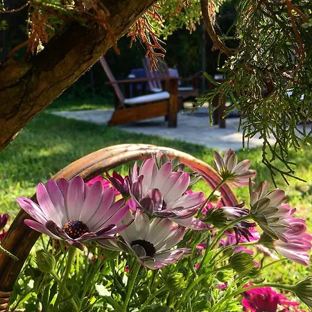 Piccolo (adults Only) Guest house *